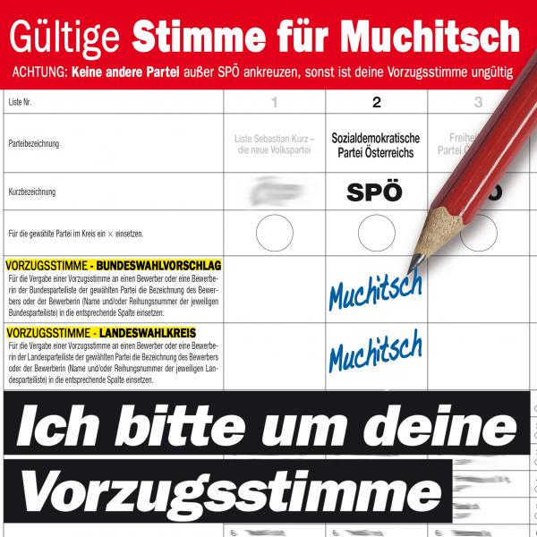 So wählen Sie Muchitsch in der Steiermark richtig
